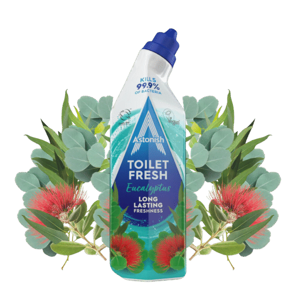 Astonish Toilet Fresh Eucalyptus tualeto valiklis, 750 ml