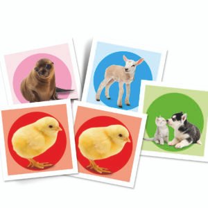 Clementoni baby lavinamasis žaislas – atminties žaidimas MEMO BABY ANIMALS