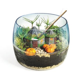 Clementoni Harry Potter terariumo kūrimo rinkinys vaikams Hagrid’s Hut