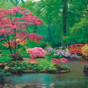 Clementoni Peace Puzzle dėlionė, 500 detalių (japoniškas sodas)