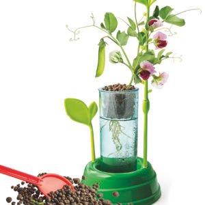 Clementoni Science & Play Hydroponic Botany edukacinis rinkinys